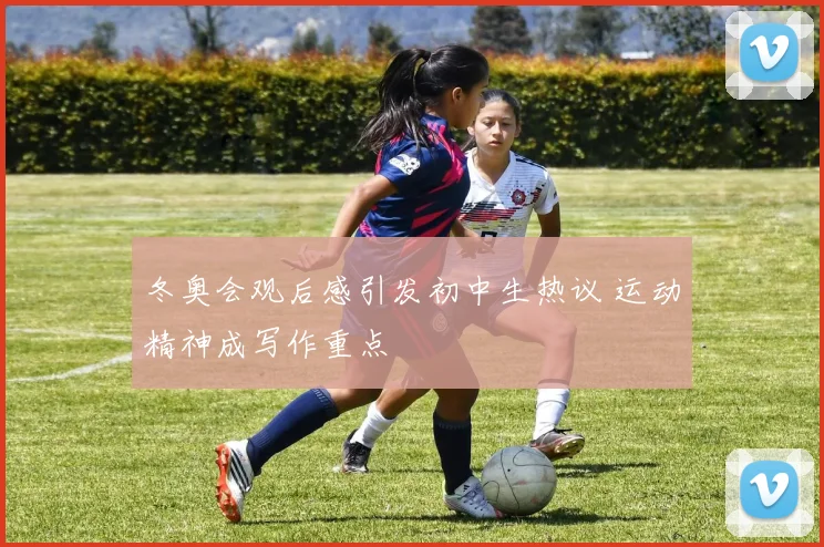 冬奥会观后感引发初中生热议 运动精神成写作重点