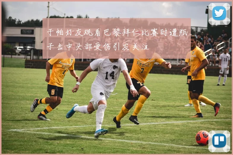 于帕好友观看巴黎拜仁比赛时遭瓶子击中头部受伤引发关注