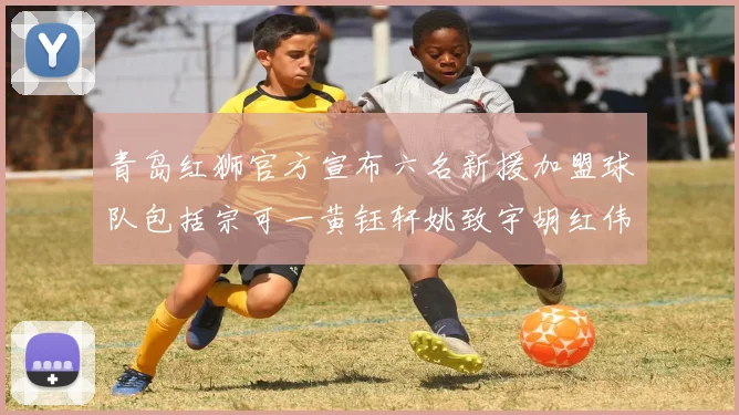 青岛红狮官方宣布六名新援加盟球队包括宗可一黄钰轩姚致宇胡红伟等人